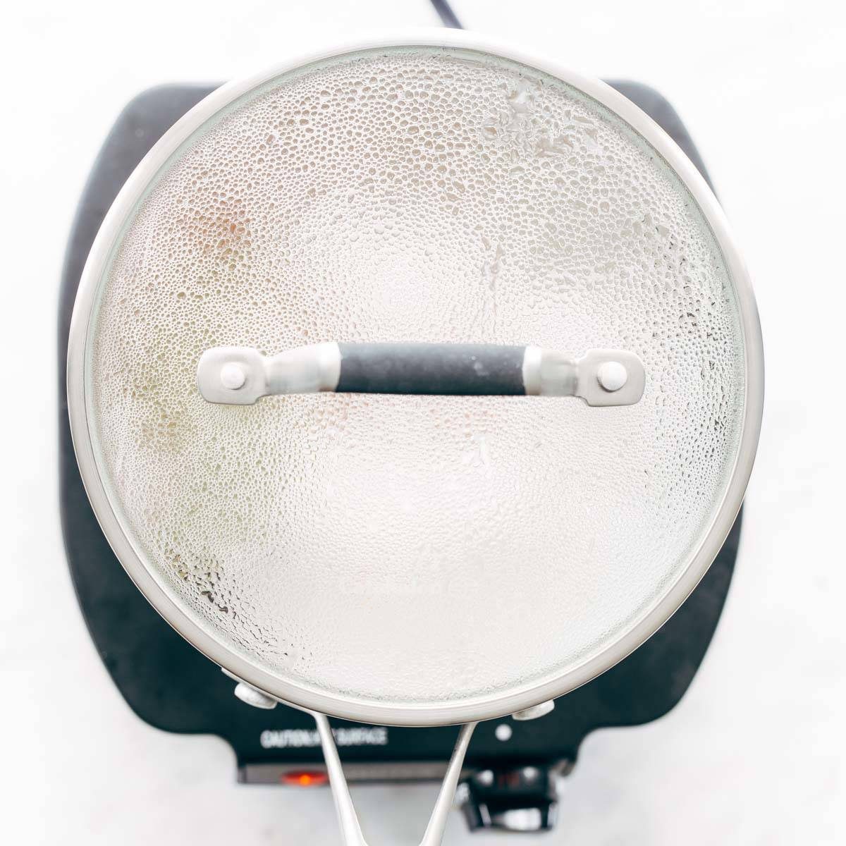 Pot of boiling water with chicken breasts.